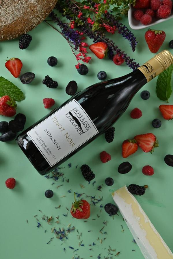Апарт готель Domaine Edegger - Organic Winery Badacsony Бадачоньтомай Екстер'єр фото