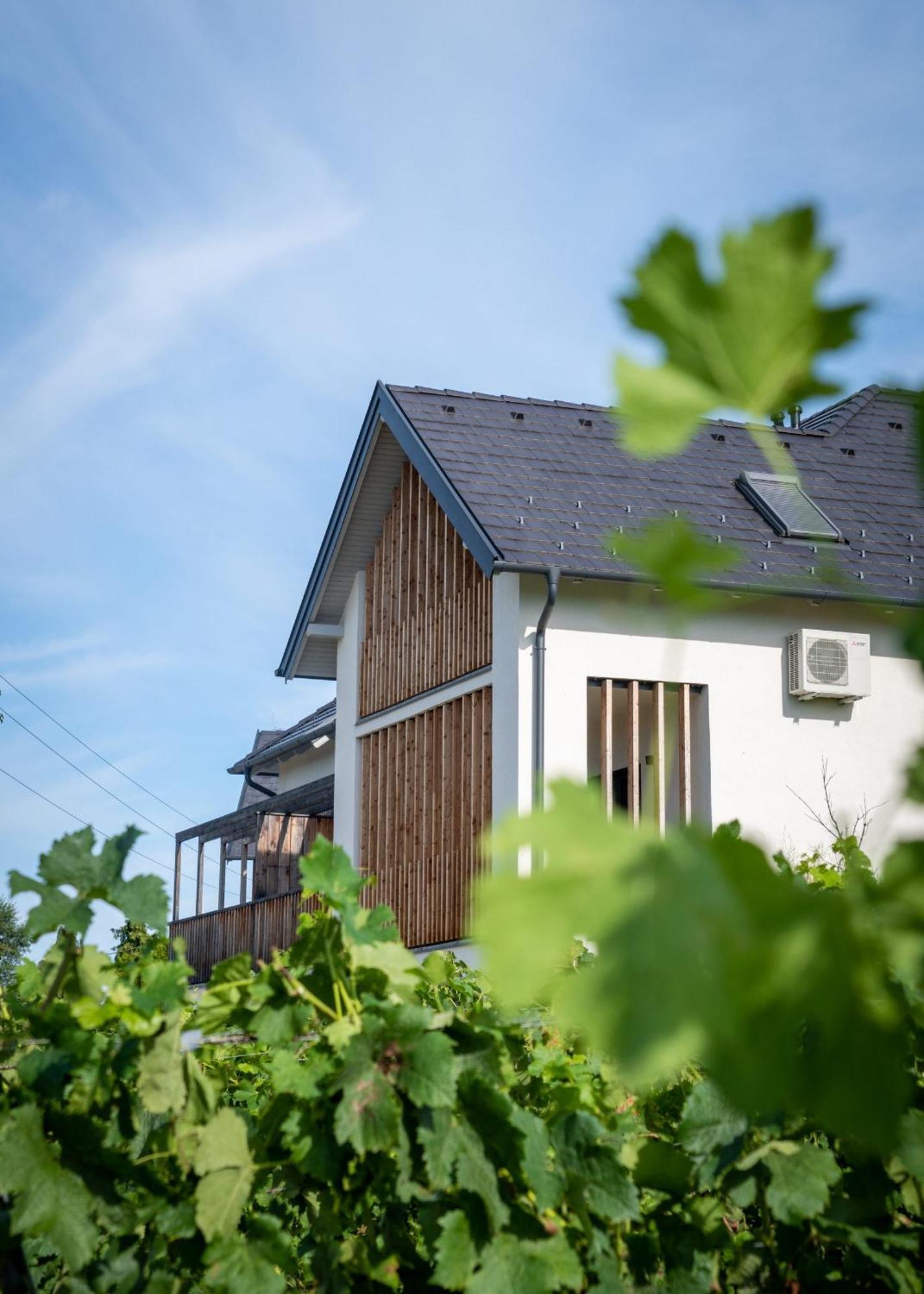 Апарт готель Domaine Edegger - Organic Winery Badacsony Бадачоньтомай Екстер'єр фото